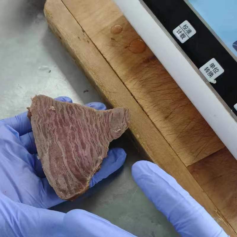 6 月初，菲特研發(fā)部到青島特斯特公司深入交流