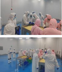 濟南海關(guān)聯(lián)合濱州海關(guān)對隆鑫健達開展調(diào)研指導工作