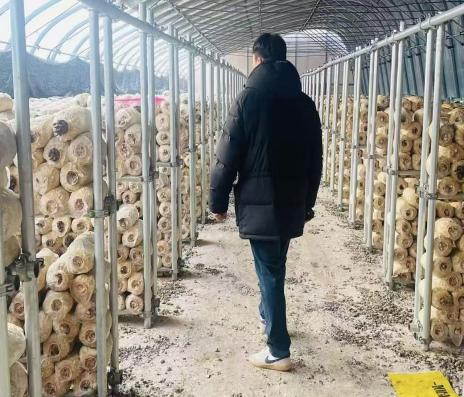 韓國重要客戶到我司（健達）進行實地考察